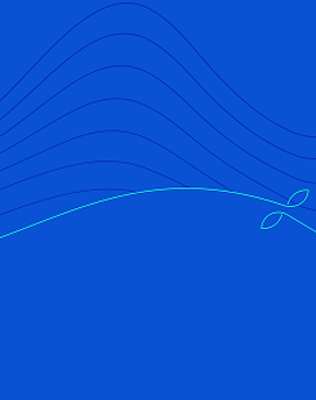 Sustainability Report 2024